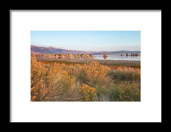 Landscape Framed Print featuring the photograph Mono Shore With Rabbitbrush by Jonathan Nguyen