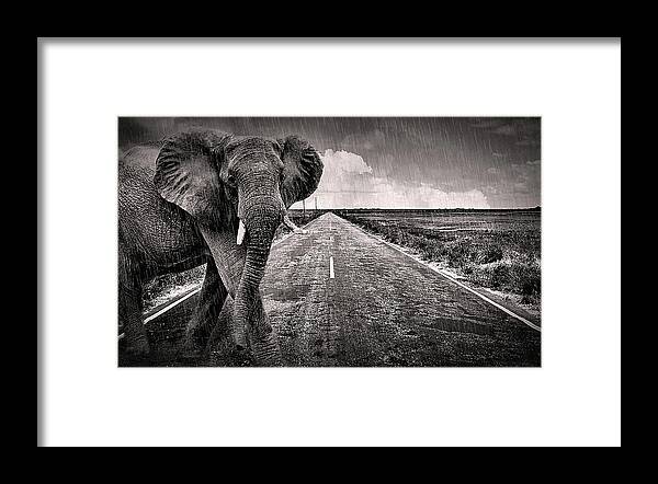 Monsoon Framed Print featuring the photograph Monsoon by Susan Maxwell Schmidt