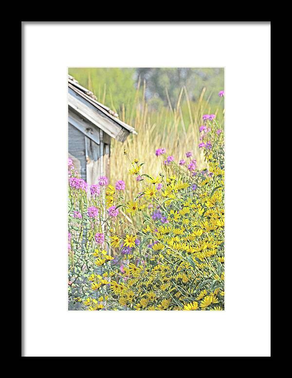 Wildflowers Compass Plant Framed Print featuring the photograph Montana's Summer Flowers by Jennie Marie Schell