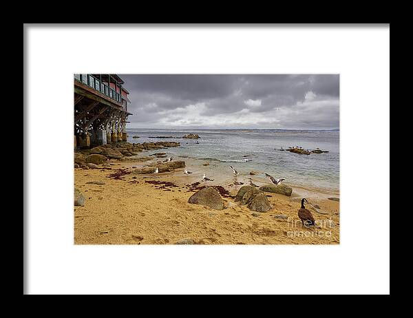 Monterey Framed Print featuring the photograph Monterey Bay by Steve Ondrus