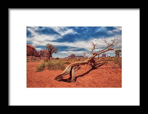 Plant Framed Print featuring the photograph Monument Valley 02 by Micah Offman