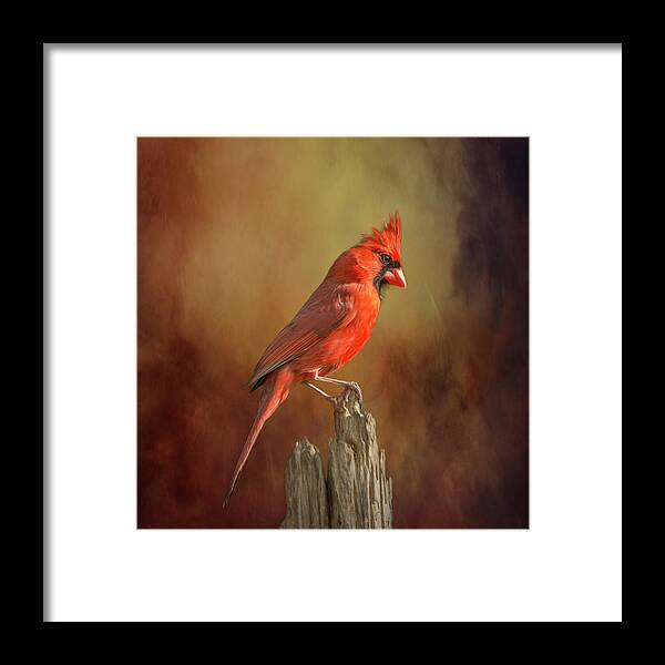 Cardinal Framed Print featuring the photograph Moody Painterly Redbird by Bill and Linda Tiepelman