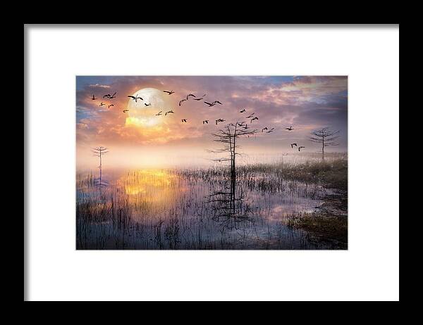 Birds Framed Print featuring the photograph Moon Rise Flight by Debra and Dave Vanderlaan