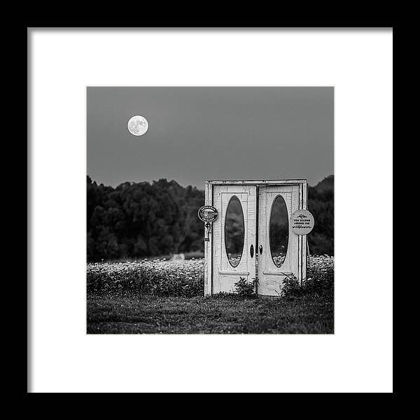 White Zinnia Framed Print featuring the photograph Moonflower by Grant Twiss