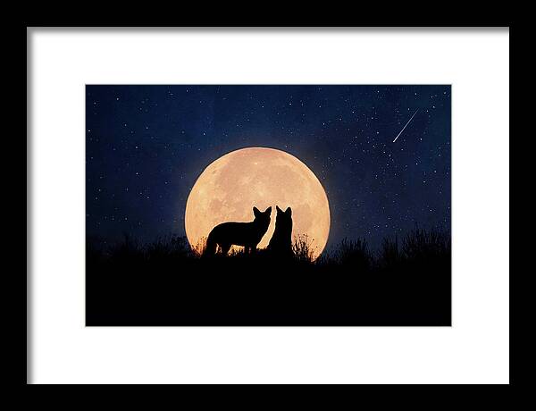 Coyote Framed Print featuring the digital art Moonrise by Nicole Wilde