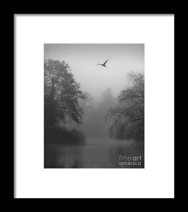 Misty Framed Print featuring the photograph Morning Flight by Daniel M Walsh