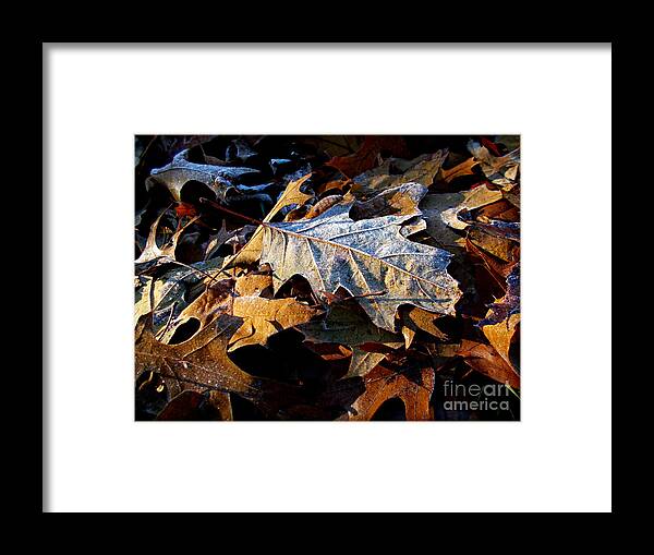 Nature Framed Print featuring the photograph Morning Frost Autumn Leaves by Frank J Casella