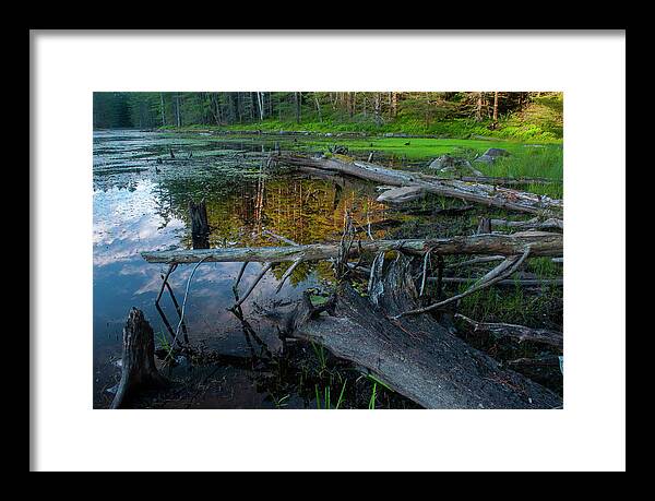 Landscape Framed Print featuring the photograph Morning Light by Bob Grabowski