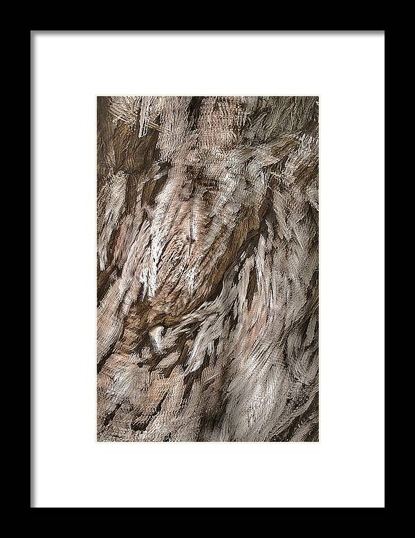 Australia Framed Print featuring the photograph Mosman Bark 1 by Jay Heifetz