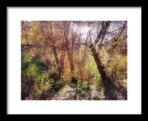 Autumn Leaves Framed Print featuring the photograph Mother Nature's Palette 2 by Linda McRae