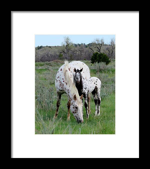 Horse Framed Print featuring the photograph Motherhood by Katie Keenan