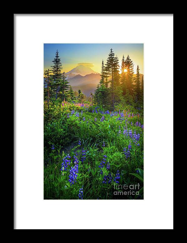 America Framed Print featuring the photograph Mount Rainier Sunburst by Inge Johnsson