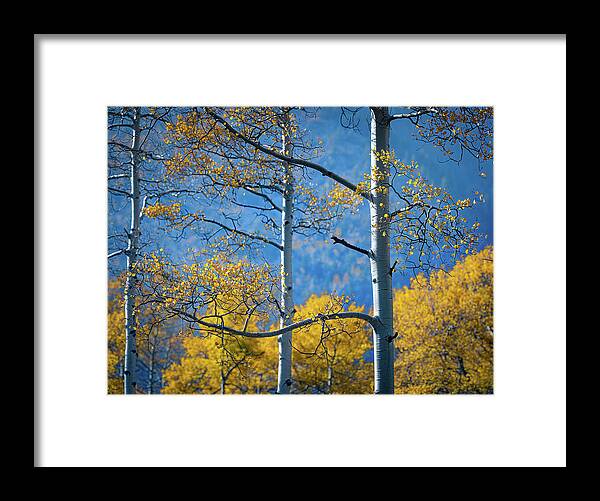 New Mexico Framed Print featuring the photograph Mountain Air by David Downs