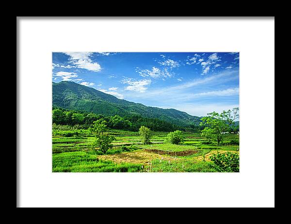 Forest Framed Print featuring the photograph Mountain and countryside scenery by Carl Ning