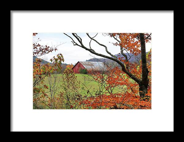 Barn; Arkansas; Red; Leaves; Country; Mountain; Autumn Framed Print featuring the photograph Mountain Barn in Autumn - Ouachitas of Arkansas - Fall 2020 by William Rainey