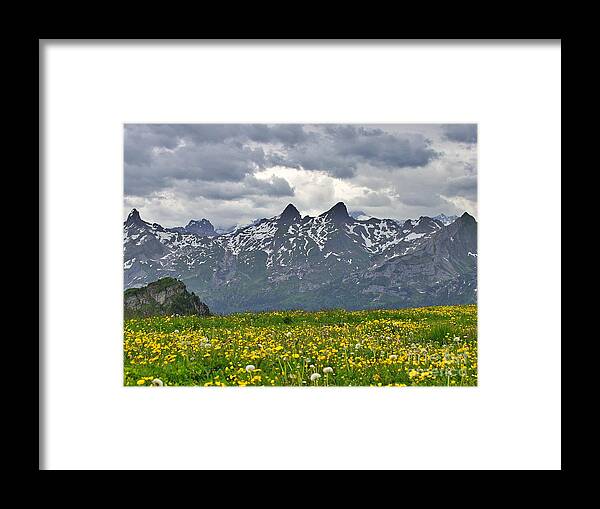 Switzerland Framed Print featuring the photograph Mountain Fields by Yvonne M Smith
