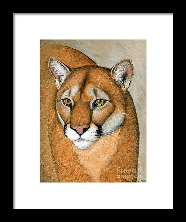 Cougar Framed Print featuring the pastel Mountain Lion Cougar Wild Cat by Rebecca Wang