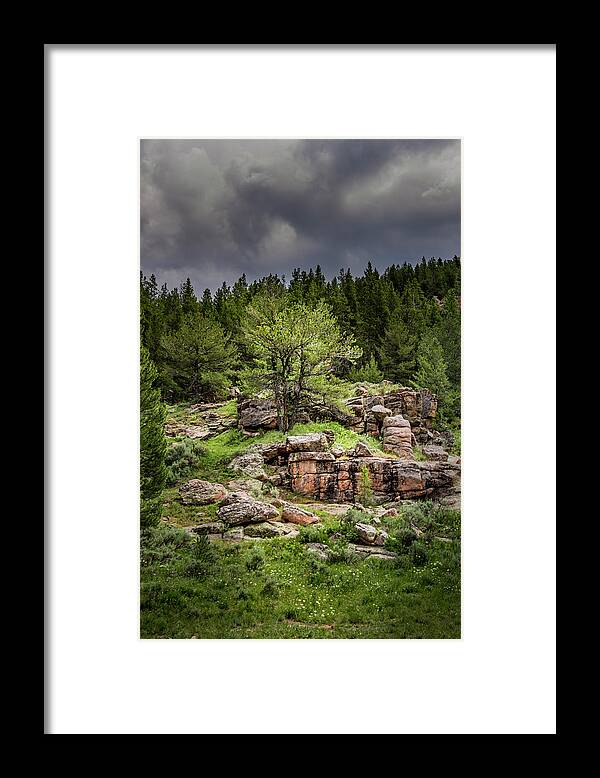 Rocky Outcropping Framed Print featuring the photograph Mountain Oasis by Laura Terriere
