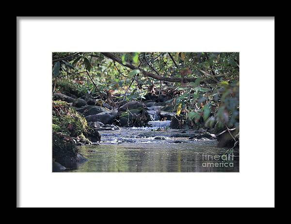 Landscape Framed Print featuring the photograph Mountain Water , Smoky Mountains by Theresa D Williams