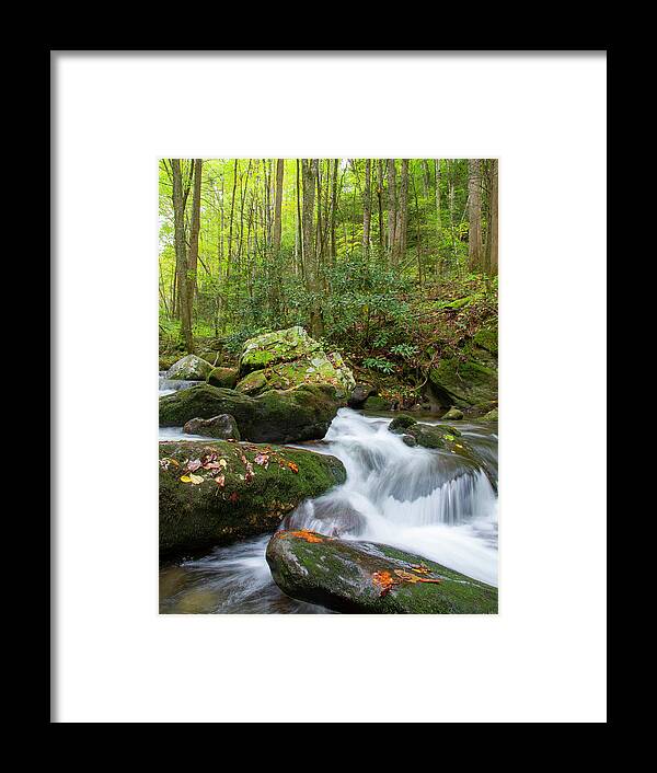 Tennessee Framed Print featuring the photograph Mountain Water by Larry Bohlin