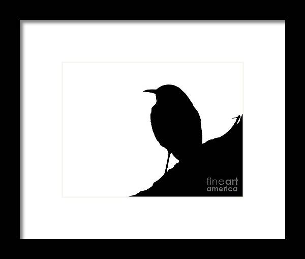 Silhouette Framed Print featuring the photograph Mountainside Bird Silhouette by Beth Myer Photography