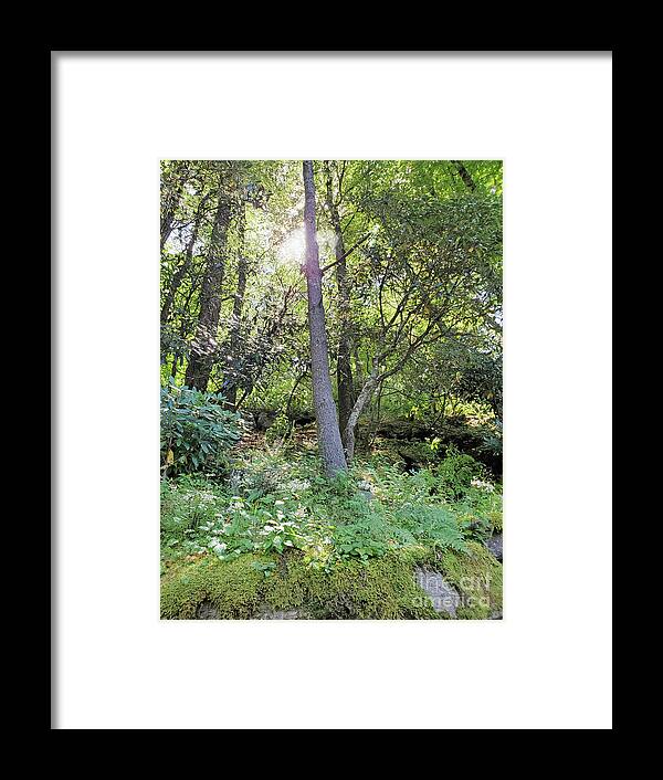 Landscape Framed Print featuring the photograph Mountainside Morning by Sharon Williams Eng