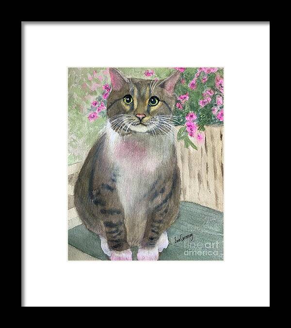 Cat Framed Print featuring the painting Mr Gumbo by Sue Carmony