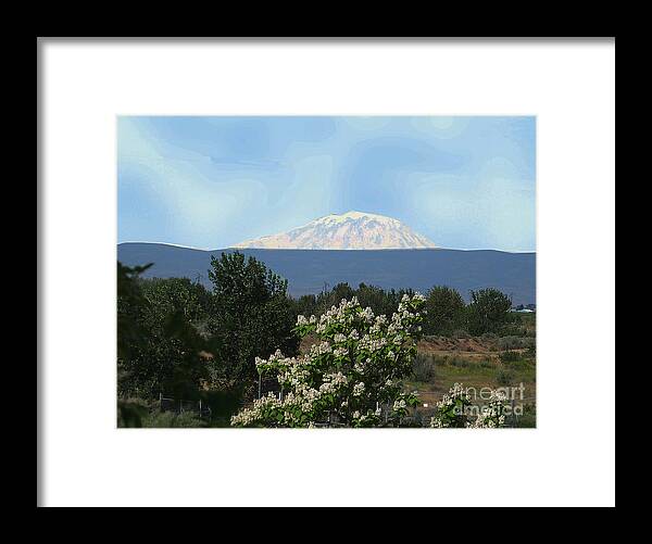 Mt Adams Framed Print featuring the photograph Mt Adams and Mock Orange by Charles Robinson
