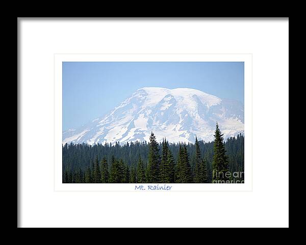 Trees Framed Print featuring the photograph Mt. Rainier and Evergreens by Carol Eliassen