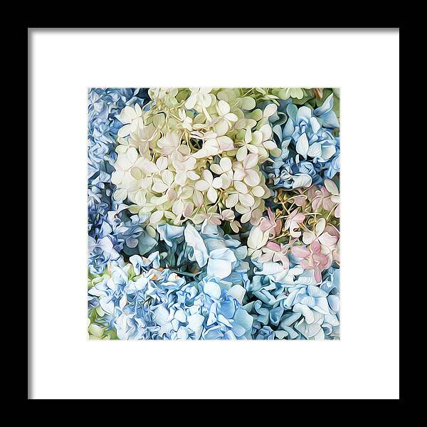 Hydrangea Framed Print featuring the photograph Multi Colored Hydrangea by Theresa Tahara