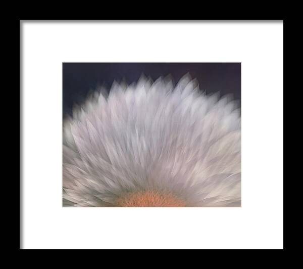 Petals Framed Print featuring the photograph Multi layered petals by Sylvia Goldkranz