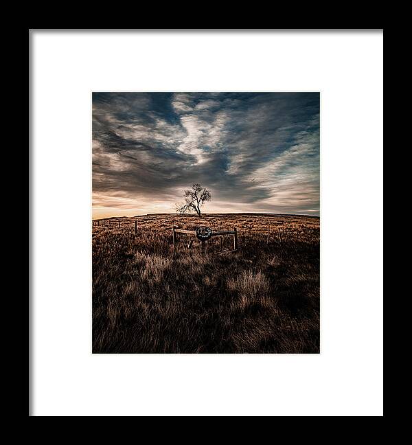 Prairie Framed Print featuring the photograph Murray Tree by Darcy Dietrich