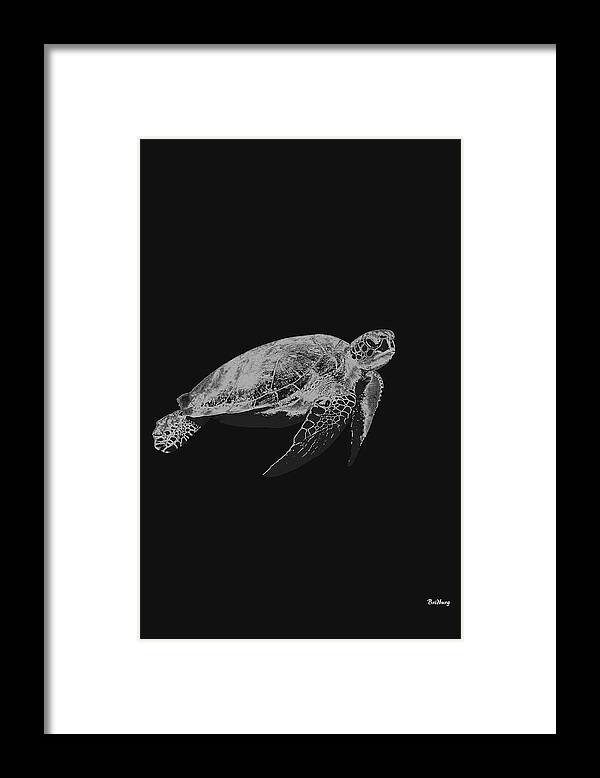 Leather Back Turtle Framed Print featuring the digital art Music Notes 30 by David Bridburg