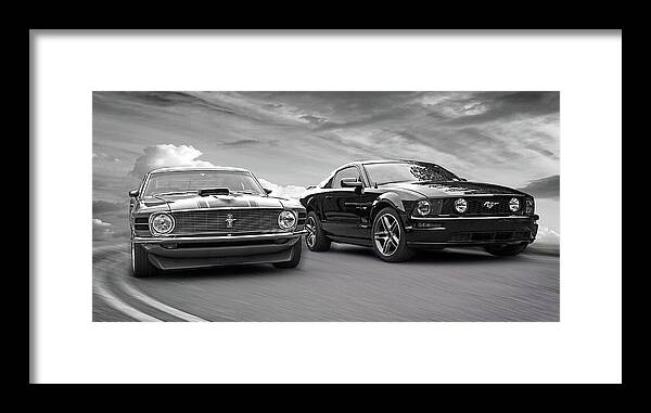 Mustang Framed Print featuring the photograph Mustang Buddies in Black and White by Gill Billington