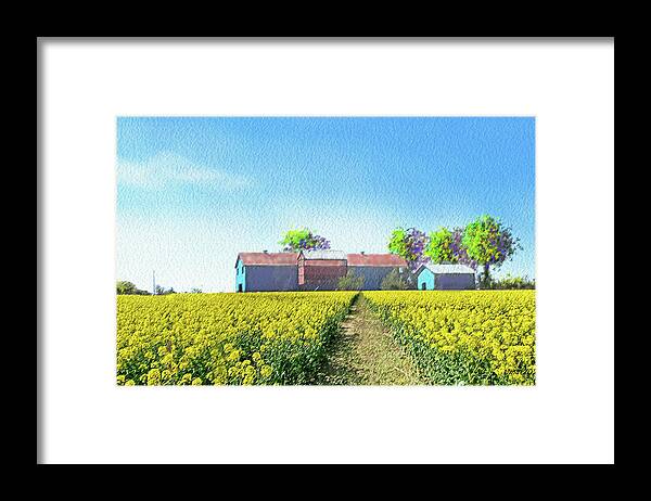 Mustard Fields Framed Print featuring the photograph Mustard fields by Uma Krishnamoorthy