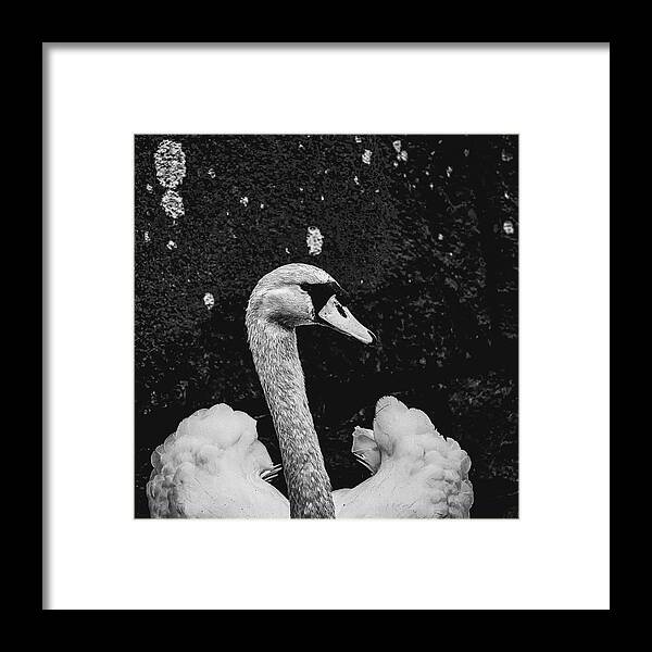 My Best Side Bw Framed Print featuring the photograph my best side BW #k5 by Leif Sohlman