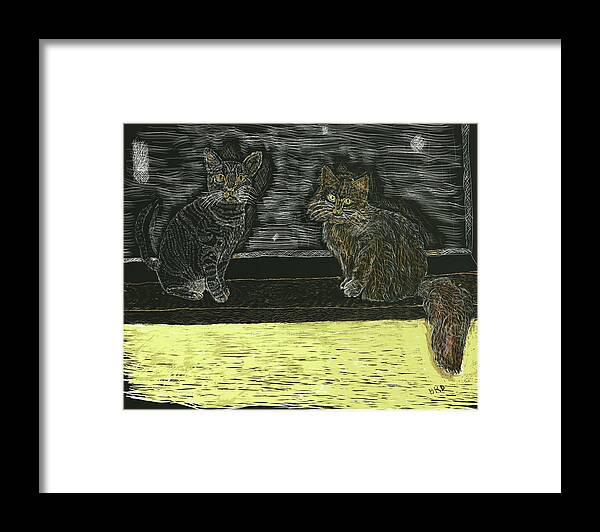 Cats Framed Print featuring the drawing My Cats by Branwen Drew