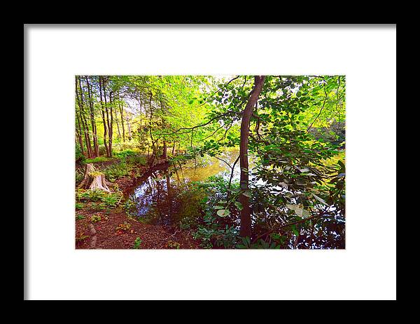 Pond View Framed Print featuring the photograph My Summer Pond by Stacie Siemsen