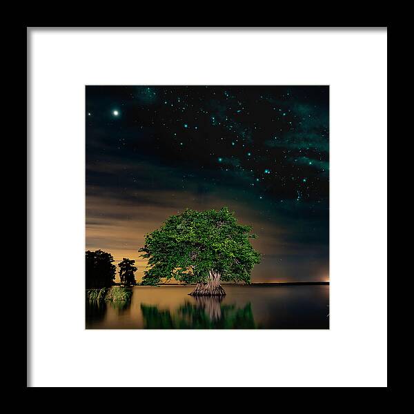 Instagram Framed Print featuring the photograph Mysterious Full Frame Signed by Todd Tucker