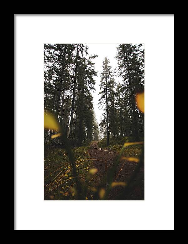 Outdoor Framed Print featuring the photograph Mysterious misty forest in the rain by Vaclav Sonnek