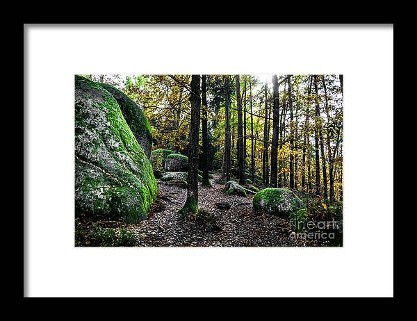 Abandoned Framed Print featuring the photograph Mystic Landscape Of Nature Park Blockheide With Granite Rock Formations In Waldviertel In Austria by Andreas Berthold