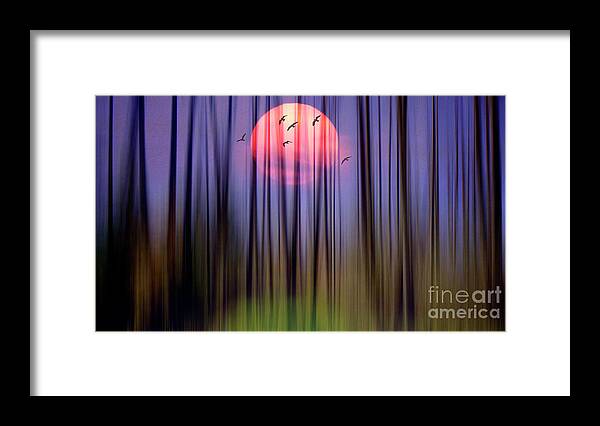 Nag006309 Framed Print featuring the photograph Mystical Forest by Edmund Nagele FRPS
