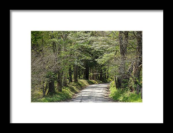 Landscapes Framed Print featuring the photograph Narrow Country Road by Robert Carter