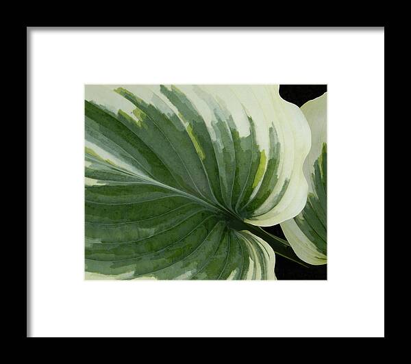 Green Framed Print featuring the photograph Natural beauty by Francine Rondeau