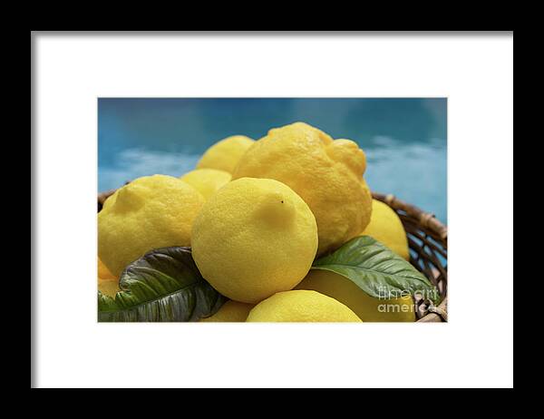 Lemons Framed Print featuring the photograph Natural lemons and lemon leaves by the pool by Adriana Mueller