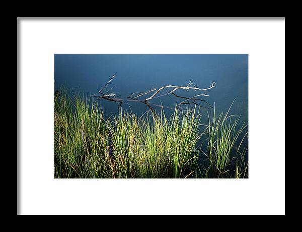 Abstract Framed Print featuring the photograph Nature Abstract by Gary Felton