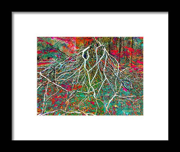 Marcia Lee Jones Framed Print featuring the photograph Nature Abstract by Marcia Lee Jones