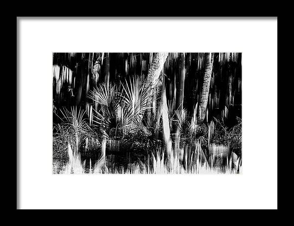 Nature Framed Print featuring the photograph Nature Abstracted 7B by Sally Fuller