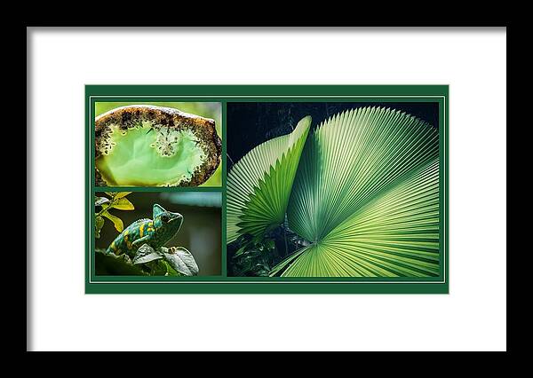 Chameleon Framed Print featuring the mixed media Nature As Art by Nancy Ayanna Wyatt