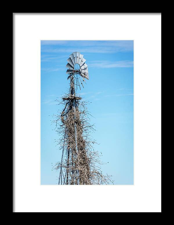 Nature Decorated Windmill Framed Print featuring the photograph Nature Decorated Windmill by Debra Martz